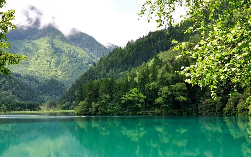 高端可靠性高效
